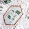 NCYP Vintage Rose Gold Copper Floating Hanging Glass Long Hexagon Frame For Fern, Pressed Flower 2 NCYP Vintage Rose Gold Copper Floating Hanging Glass Long Hexagon Frame For Fern, Pressed Flower -Terrarium Plant Hub 8925
