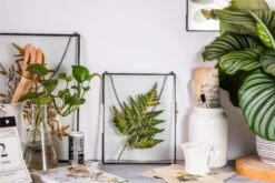 Handmade Black Large Wall Hanging Brass Glass Artwork Certificate Photo Display Floating Frame 21 Handmade Black Large Wall Hanging Brass Glass Artwork Certificate Photo Display Floating Frame -Terrarium Plant Hub 8978