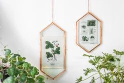 NCYP Vintage Rose Gold Copper Floating Hanging Glass Long Hexagon Frame For Fern, Pressed Flower -Terrarium Plant Hub 8999