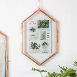 NCYP Vintage Rose Gold Copper Floating Hanging Glass Long Hexagon Frame For Fern, Pressed Flower -Terrarium Plant Hub 9004