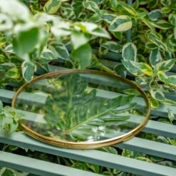 NCYP Wall Hanging Round 8" 10" 12" Herbarium Brass Glass Frame For Pressed Flowers, Poster, Double Glass, Floating Frame -Terrarium Plant Hub DSC02277