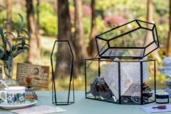 Brass Gold Tabletop Vintage Frame Geometric Ornament Plant Specimen Clip Modern Decor Card Holder 5X7" Reception -Terrarium Plant Hub G01A0089