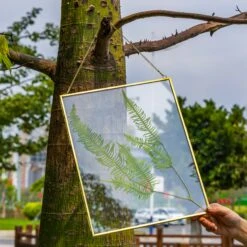 Handmade Large Wall Hanging Brass Glass Artwork Certificate Photo Picture Display Floating Frame -Terrarium Plant Hub G01A0166 c07a3cf0 ee1d 4273 8a31 499b3357748d