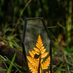 Brass Gold Tabletop Vintage Frame Geometric Ornament Plant Specimen Clip Modern Decor Card Holder 5X7" Reception -Terrarium Plant Hub G01A0294