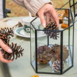 Halloween Gothic Coffin Black Geometric Glass Card Box Terrarium With Swing Lid, Heart Lock, Handmade Brass For Wedding Reception Wishwell Keepsake 37 Halloween Gothic Coffin Black Geometric Glass Card Box Terrarium With Swing Lid, Heart Lock, Handmade Brass For Wedding Reception Wishwell Keepsake -Terrarium Plant Hub G01A0582