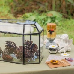 Halloween Gothic Coffin Black Geometric Glass Card Box Terrarium With Swing Lid, Heart Lock, Handmade Brass For Wedding Reception Wishwell Keepsake 29 Halloween Gothic Coffin Black Geometric Glass Card Box Terrarium With Swing Lid, Heart Lock, Handmade Brass For Wedding Reception Wishwell Keepsake -Terrarium Plant Hub G01A0600