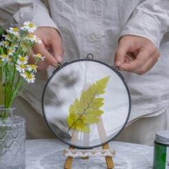 6" Black Wall Hanging RoundHerbarium Brass Glass Frame For Pressed Flowers, Poster, Double Glass, Floating Frame -Terrarium Plant Hub G01A2904