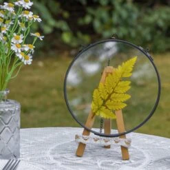 6" Black Wall Hanging RoundHerbarium Brass Glass Frame For Pressed Flowers, Poster, Double Glass, Floating Frame -Terrarium Plant Hub G01A2915