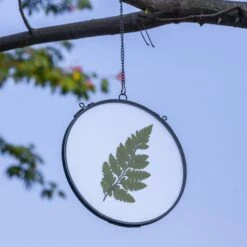 6" Black Wall Hanging RoundHerbarium Brass Glass Frame For Pressed Flowers, Poster, Double Glass, Floating Frame -Terrarium Plant Hub G01A2972