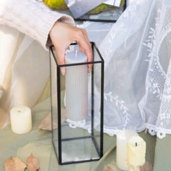 Front Page 51 Front Page -Terrarium Plant Hub G01A3115