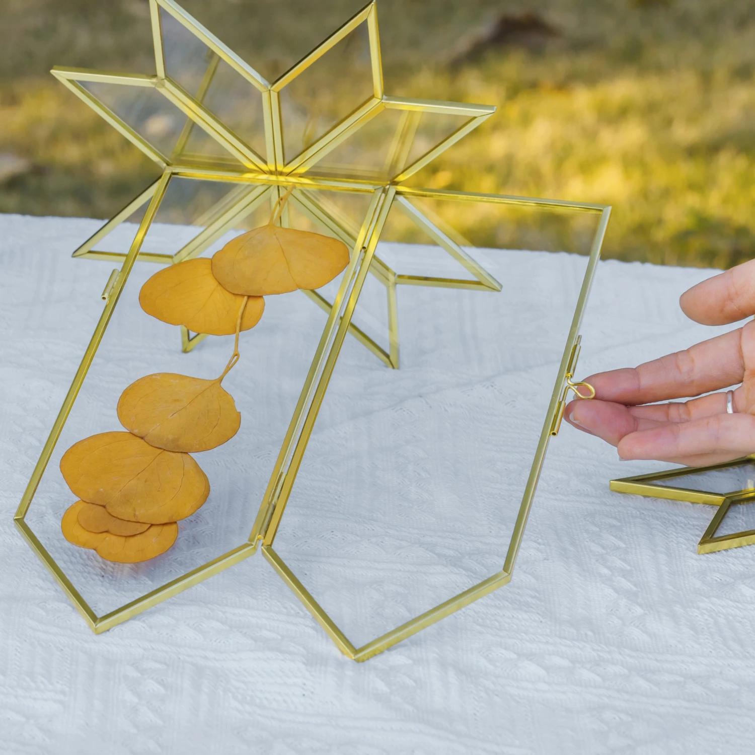 Geometric Gardenia Garden Gold Glass And Brass Wedding Table Number Holder, Pressed Flower Frame 21 Geometric Gardenia Garden Gold Glass And Brass Wedding Table Number Holder, Pressed Flower Frame - Image 19