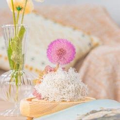 Purple Presered Dandelion Set 3 Pcs Dried Flowers, DIY Material For Bouquet, -Terrarium Plant Hub G01A5892