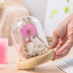 Purple Presered Dandelion Set 3 Pcs Dried Flowers, DIY Material For Bouquet, -Terrarium Plant Hub G01A5916