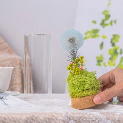 Sky Blue Presered Dandelion Set 3 Pcs Dried Flowers, DIY Material For Bouquet -Terrarium Plant Hub G01A5987