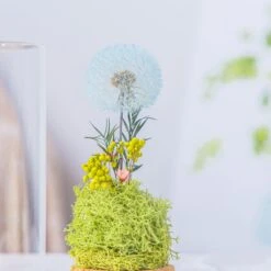 Sky Blue Presered Dandelion Set 3 Pcs Dried Flowers, DIY Material For Bouquet -Terrarium Plant Hub G01A5990