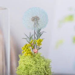 Sky Blue Presered Dandelion Set 3 Pcs Dried Flowers, DIY Material For Bouquet -Terrarium Plant Hub G01A5996