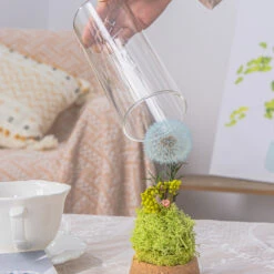 Sky Blue Presered Dandelion Set 3 Pcs Dried Flowers, DIY Material For Bouquet -Terrarium Plant Hub G01A6002