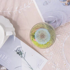 Sky Blue Presered Dandelion Set 3 Pcs Dried Flowers, DIY Material For Bouquet -Terrarium Plant Hub G01A6014