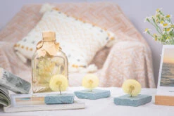 Yellow Presered Dandelion Set 3 Pcs Dried Flowers, DIY Material For Bouquet -Terrarium Plant Hub G01A6040