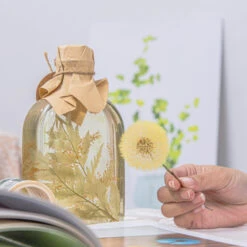 Yellow Presered Dandelion Set 3 Pcs Dried Flowers, DIY Material For Bouquet -Terrarium Plant Hub G01A6061