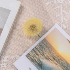 Yellow Presered Dandelion Set 3 Pcs Dried Flowers, DIY Material For Bouquet -Terrarium Plant Hub G01A6065