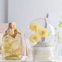 Yellow Presered Dandelion Set 3 Pcs Dried Flowers, DIY Material For Bouquet -Terrarium Plant Hub G01A6077