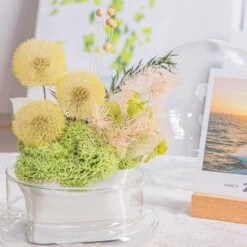 Yellow Presered Dandelion Set 3 Pcs Dried Flowers, DIY Material For Bouquet -Terrarium Plant Hub G01A6081