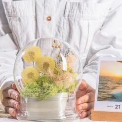 Yellow Presered Dandelion Set 3 Pcs Dried Flowers, DIY Material For Bouquet -Terrarium Plant Hub G01A6103