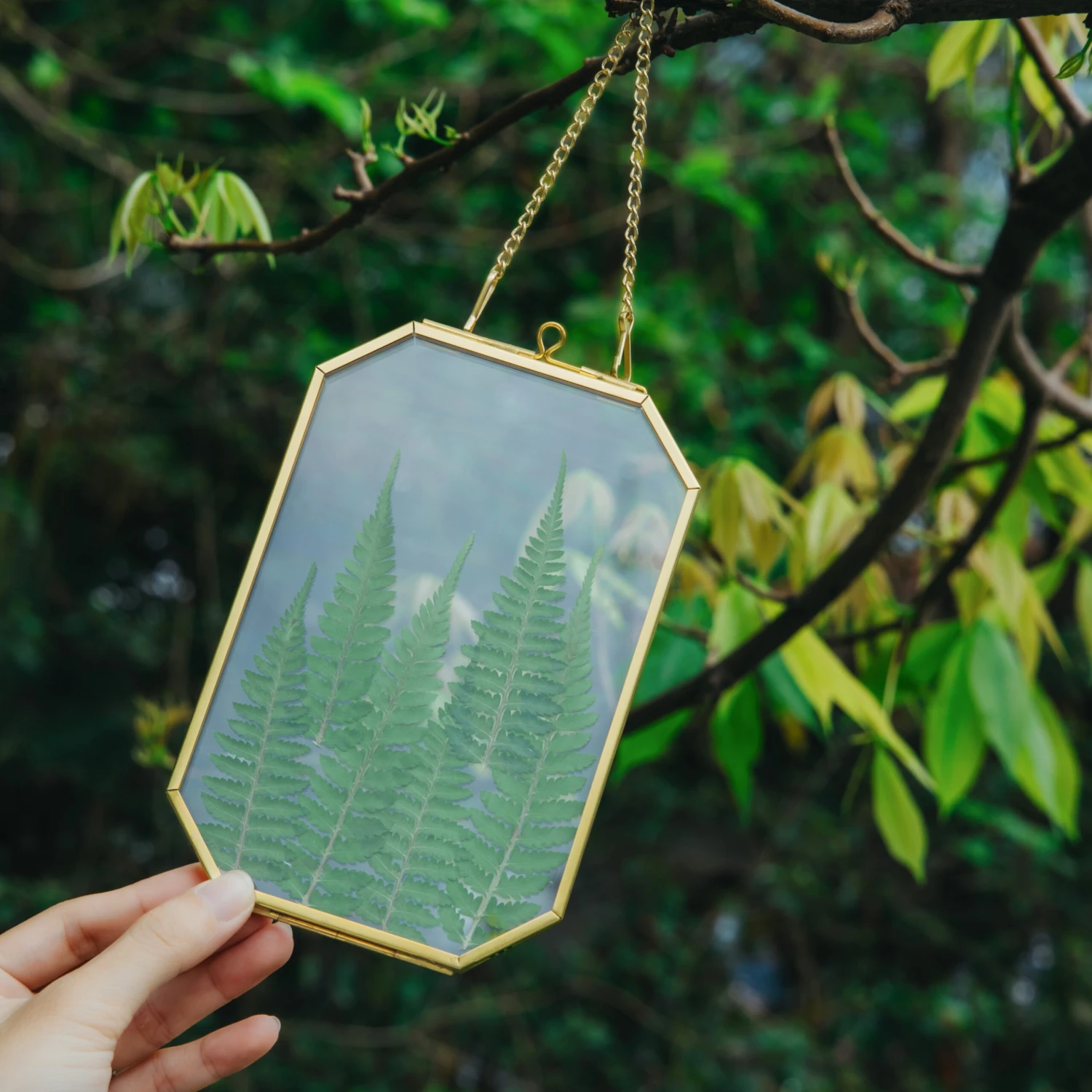 Wall Hanging Long Octagon Herbarium Brass Glass Frame For Pressed Flowers Dried Floating Frame 5 Wall Hanging Long Octagon Herbarium Brass Glass Frame For Pressed Flowers Dried Floating Frame - Image 3