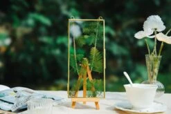 NCYP 4x9 Inchs Clear Glass Picture Frame Wall Hanging Certificate Photo Plant Specimen Clip -Terrarium Plant Hub G01A9845