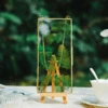 NCYP 4x9 Inchs Clear Glass Picture Frame Wall Hanging Certificate Photo Plant Specimen Clip -Terrarium Plant Hub G01A9845 2024 04 15T08 10 59.435Z