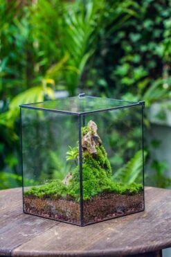 NCYP Basic Rectangle Close Geometric Glass Tin Terrarium, Planter Multiple Size For Moss Wall, Fern, Landscape Multiple Size, No Plants -Terrarium Plant Hub IMG 0072