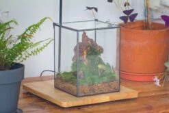 NCYP Basic Rectangle Close Geometric Glass Tin Terrarium, Planter Multiple Size For Moss Wall, Fern, Landscape Multiple Size, No Plants -Terrarium Plant Hub IMG 0105