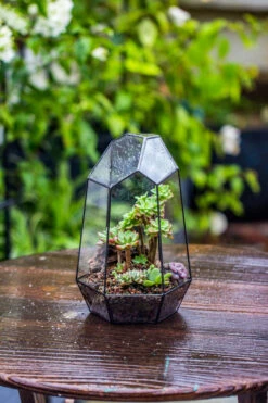 Handmade Irregular Tall Black Glass Geometric Terrarium Various Size For Succulents Moss Airplants -Terrarium Plant Hub IMG 0116