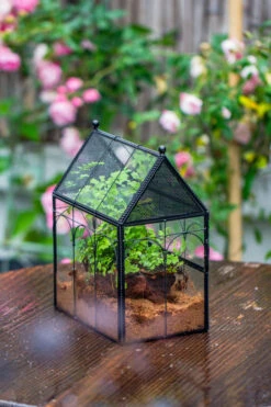 Handmade Twisted Wire House Shape Glass Geometric Terrarium With LED Light Set, Snail Jumping Spider Enclosure, Insect Container Set -Terrarium Plant Hub IMG 0166
