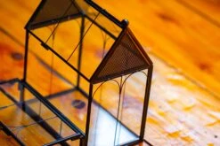 Vintage Mini House Shape Glass Geometric Terrarium For Jumping Spider 27 Vintage Mini House Shape Glass Geometric Terrarium For Jumping Spider -Terrarium Plant Hub IMG 0190