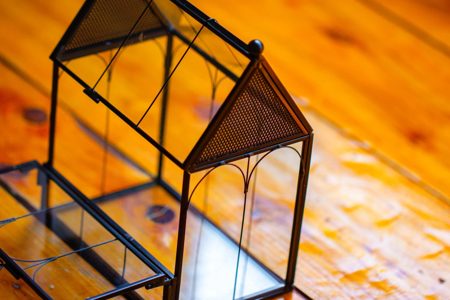 Vintage Mini House Shape Glass Geometric Terrarium For Jumping Spider 8 Vintage Mini House Shape Glass Geometric Terrarium For Jumping Spider - Image 6