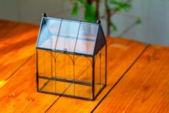 Vintage Mini House Shape Glass Geometric Terrarium For Jumping Spider 28 Vintage Mini House Shape Glass Geometric Terrarium For Jumping Spider -Terrarium Plant Hub IMG 0196