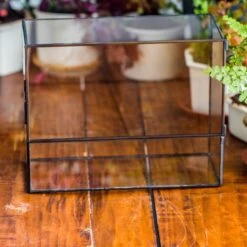 NCYP Close Geometric Glass Terrarium With Door, Tin Sealed Rectangle Tall Moss Wall Planter For Moss Wall, Fern, Landscape Multiple Size