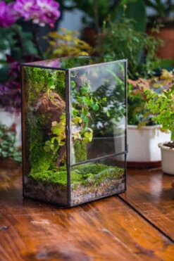 NCYP Close Geometric Glass Terrarium With Door, Tin Sealed Rectangle Tall Moss Wall Planter For Moss Wall, Fern, Landscape Multiple Size -Terrarium Plant Hub IMG 0226