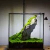 NCYP Basic Rectangle Close Geometric Glass Tin Terrarium, Planter Multiple Size For Moss Wall, Fern, Landscape Multiple Size, No Plants -Terrarium Plant Hub IMG 0248