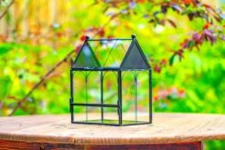 Vintage Mini House Shape Glass Geometric Terrarium For Jumping Spider 29 Vintage Mini House Shape Glass Geometric Terrarium For Jumping Spider -Terrarium Plant Hub IMG 0273