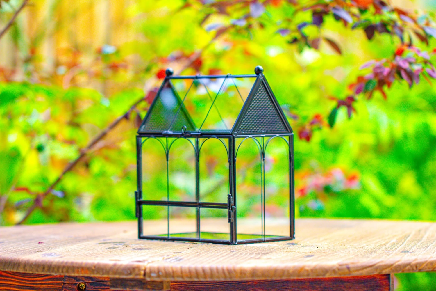 Vintage Mini House Shape Glass Geometric Terrarium For Jumping Spider 10 Vintage Mini House Shape Glass Geometric Terrarium For Jumping Spider - Image 8