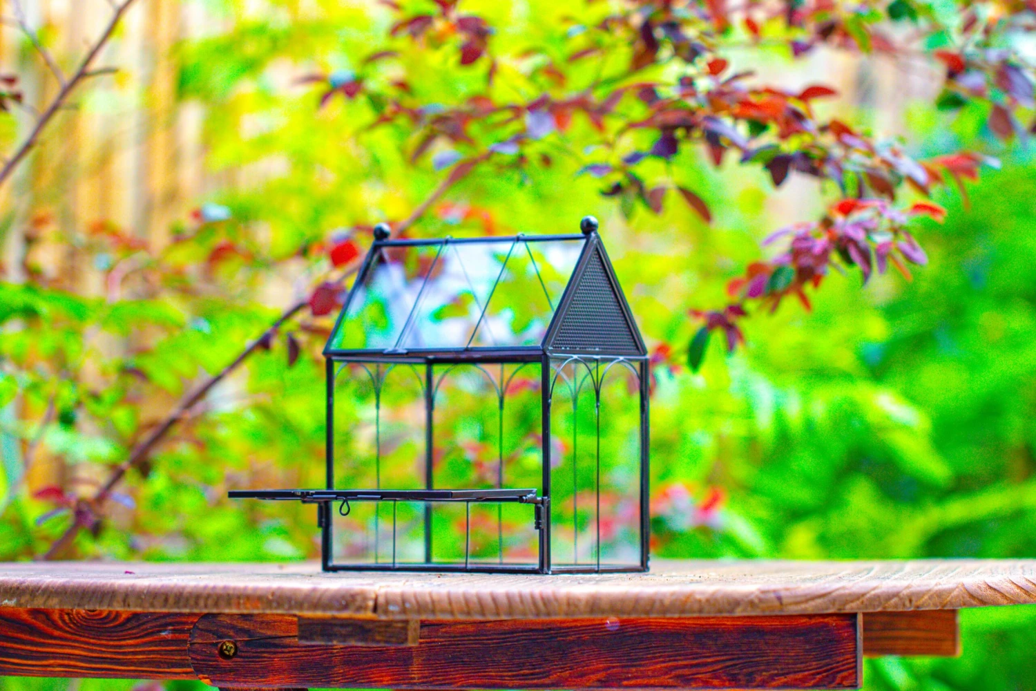 Vintage Mini House Shape Glass Geometric Terrarium For Jumping Spider 11 Vintage Mini House Shape Glass Geometric Terrarium For Jumping Spider - Image 9