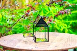 Vintage Mini House Shape Glass Geometric Terrarium For Jumping Spider 31 Vintage Mini House Shape Glass Geometric Terrarium For Jumping Spider -Terrarium Plant Hub IMG 0276