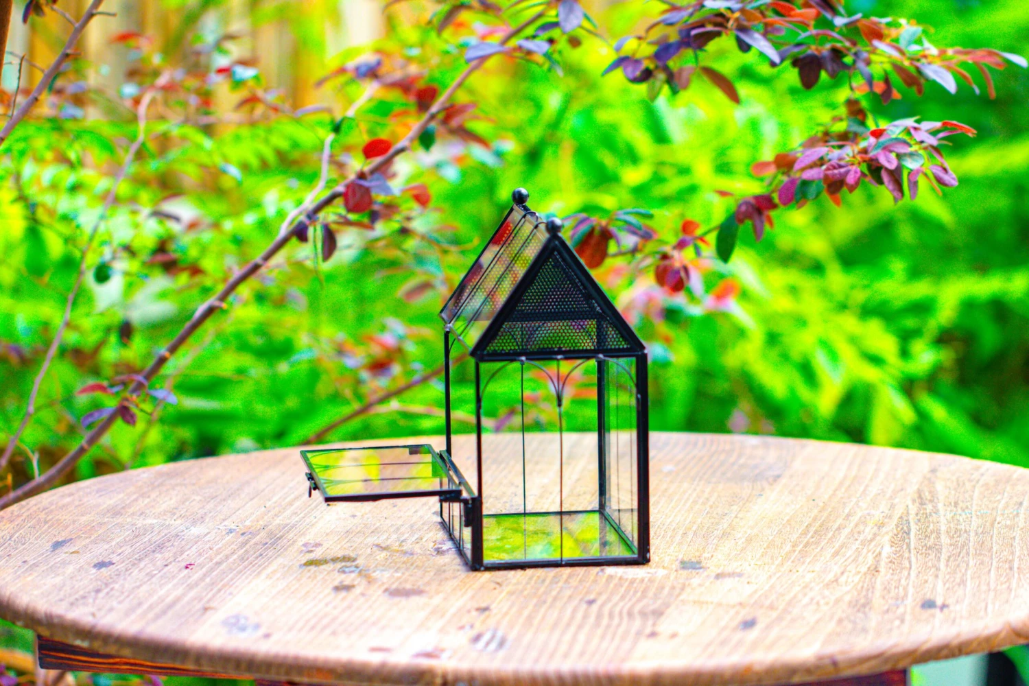 Vintage Mini House Shape Glass Geometric Terrarium For Jumping Spider 12 Vintage Mini House Shape Glass Geometric Terrarium For Jumping Spider - Image 10