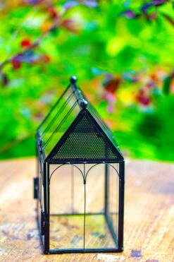 Vintage Mini House Shape Glass Geometric Terrarium For Jumping Spider 32 Vintage Mini House Shape Glass Geometric Terrarium For Jumping Spider -Terrarium Plant Hub IMG 0280