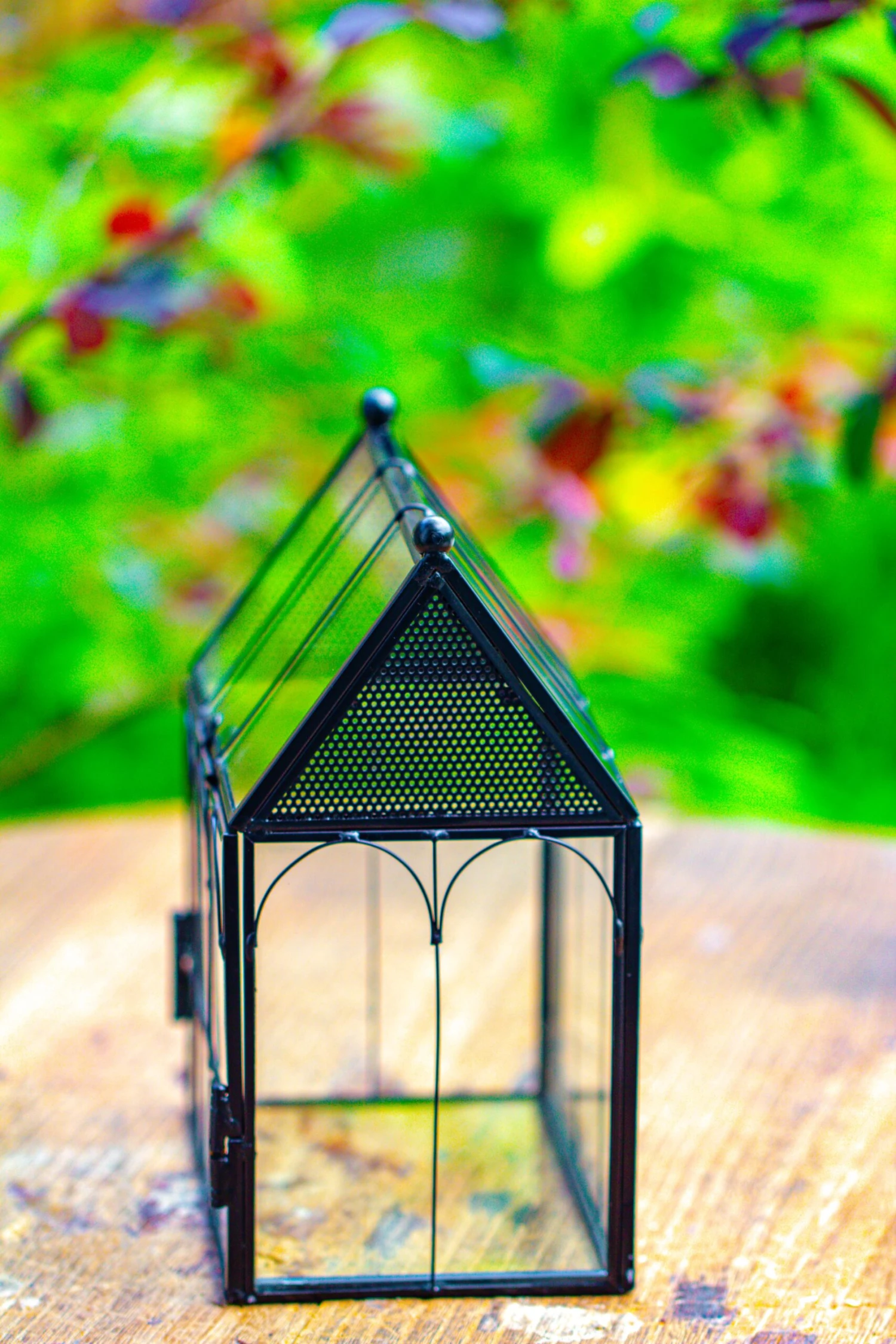 Vintage Mini House Shape Glass Geometric Terrarium For Jumping Spider 13 Vintage Mini House Shape Glass Geometric Terrarium For Jumping Spider - Image 11