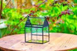 Vintage Mini House Shape Glass Geometric Terrarium For Jumping Spider 33 Vintage Mini House Shape Glass Geometric Terrarium For Jumping Spider -Terrarium Plant Hub IMG 0282