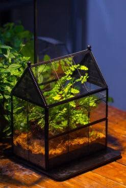 Handmade Twisted Wire House Shape Glass Geometric Terrarium With LED Light Set, Snail Jumping Spider Enclosure, Insect Container Set -Terrarium Plant Hub IMG 0300